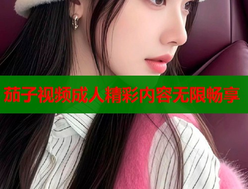 茄子视频成人精彩内容无限畅享